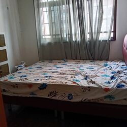 Buangkok Link (Hougang),  #567504291